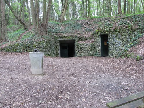 De ingang van de prehistorische vuursteenmijn gelegen in het Savelsbos